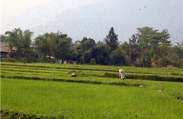 “Tam nông” ở Điện Biên Đông